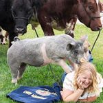 Profile Picture of Dani Warner (@dani_rae_4) on Instagram