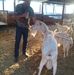 Profile Picture of Rigoberto Partida (@Rigoberto-Partida) on Facebook