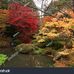 Profile Picture of Afzal Choudhury (@afzal.choudhury.566) on Facebook
