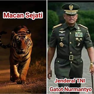 Profile Picture of Jonet Junior (@jonet.junior.1) on Facebook