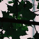 Profile Picture of Mitchell and Delaney (@mk.db.photography) on Instagram