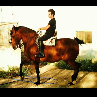 Profile Picture of Efren Gonzalez (@efrengonsa) on Twitter