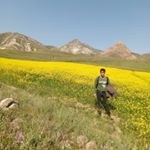 Profile Picture of sajad.hasan.nejad (@sajad.h69) on Instagram