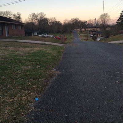 Profile Picture of Cameron Herbert (@Cameronherbert9) on Twitter