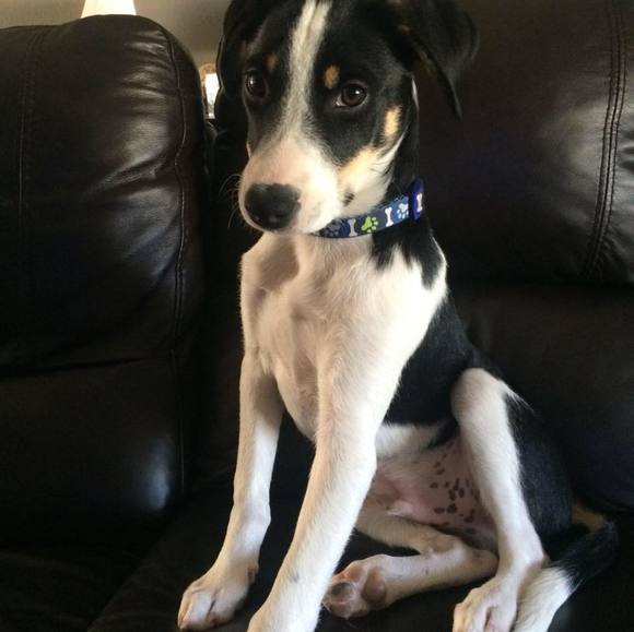 Profile Picture of Kalli Skalsky (@kalliskalsky) on Poshmark