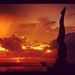 Profile Picture of Kim Tasker (@kimrangi) on Pinterest