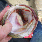 Profile Picture of Jacob Owens (@j_l_owens) on Instagram