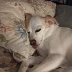 Profile Picture of Sheryl Christopherson (@sheryl.christopherson.9) on Facebook