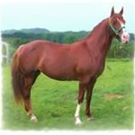 Profile Picture of Debbie Emerson Tremblay (@tremblay.debbie) on Instagram