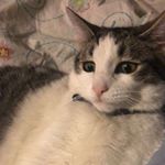 Profile Picture of Da$h & Cra$h (@lamusgagosser) on Instagram