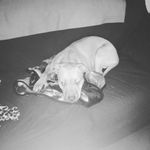 Profile Picture of jeffrey nilsson (@swervelikeme1) on Instagram