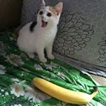 Profile Picture of Benton Meggenberg (@bentonmeggenberg) on Instagram