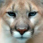 Profile Picture of Dimitris Athanasopoulos (@dimitris.athanasopoulos) on Instagram