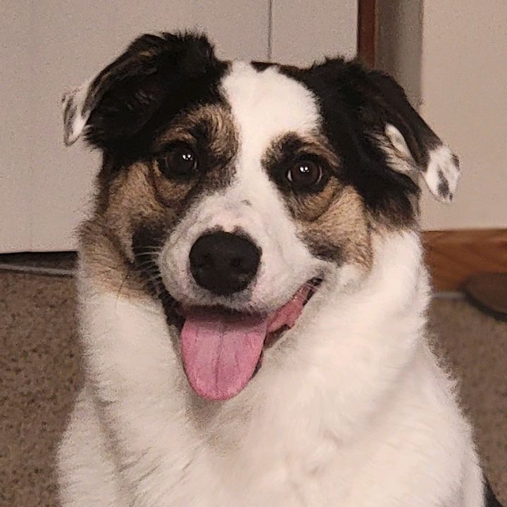 Profile Picture of jaredschulz795 (@jaredschulz795) on Tiktok