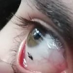Profile Picture of Mika Burger (@a.tad.lower) on Instagram