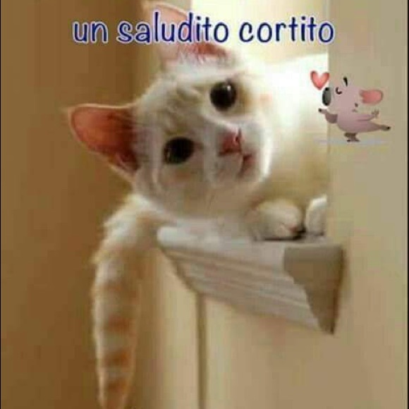 Profile Picture of Martina Gonzalez (@valebonita00) on Poshmark