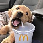 Profile Picture of ChRis?!  Is ThaT WeEd (@upturned_cabbages) on Instagram