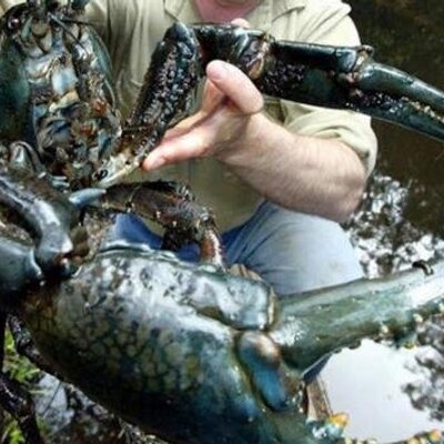 Profile Picture of Jason Marchesi (@j_dog_berri) on Twitter