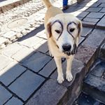Profile Picture of Eric (@eric_walkington) on Instagram