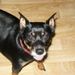 Profile Picture of Chris Hovey (@hov1968) on Pinterest
