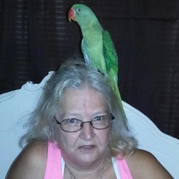 Profile Picture of Pamela Harden (@babyducknc) on Poshmark