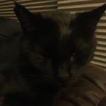 Profile Picture of Colt Moore (@erert_erert) on Instagram