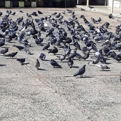 Profile Picture of Norah (@NorahKnightRN) on Twitter