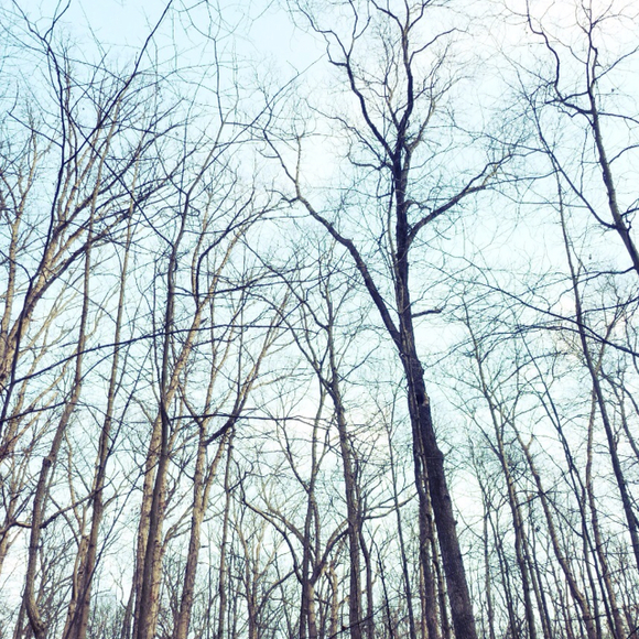 Profile Picture of Pam Longacre (@peowko) on Poshmark