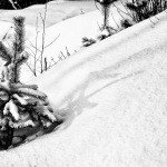 Profile Picture of Cathy (@cathyauguste7) on Instagram