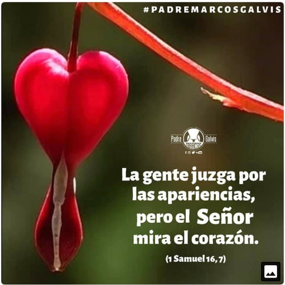 Profile Picture of Martinez Isabel (@izabeldelt) on Poshmark