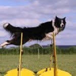 Marc Groen - Instagram Profile Picture of Marc Groen (@marc.groen) on Instagram