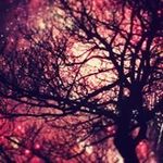 Profile Picture of Bradley Sullivan (@bradleysullivan2001) on Instagram