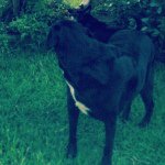 Profile Picture of Sam Speer (@babysam_28) on Instagram