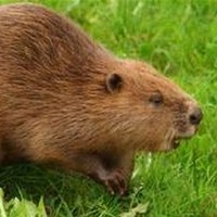 Profile Picture of Michael Crowle (@michael-crowle) on Quora