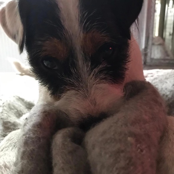 Profile Picture of Fern Savey (@fernsavey) on Poshmark