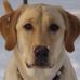 Profile Picture of Adam Nock (@adam.nock.376) on Facebook