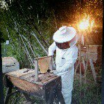 todd b - Instagram Profile Picture of todd b (@todddrummer) on Instagram