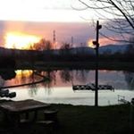 Profile Picture of Mario Rocchi (@rocchi3179) on Instagram