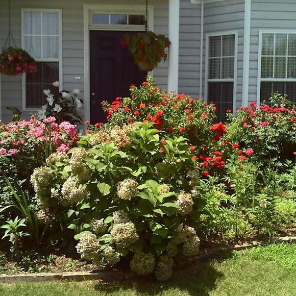 Profile Picture of Sabiha Ajanovic (@sabiha10) on Poshmark