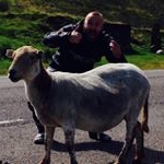 Profile Picture of Craig Earls (@earlscraig) on Instagram