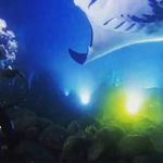 Profile Picture of Christena Birkhofer (@me.christena) on Instagram