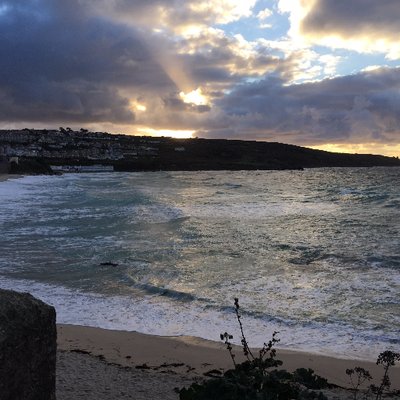 Profile Picture of Carole E Sampson (@@caroleesampson) on Twitter