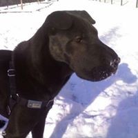 Profile Picture of Phillip Weaver (@phillip-weaver-2) on Quora