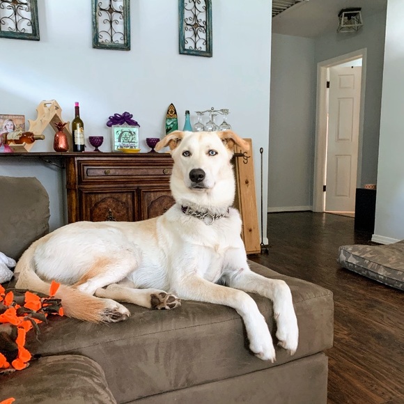 Profile Picture of Justin Grayson (@justin_grayson) on Poshmark