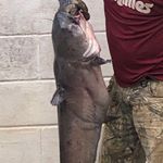 Profile Picture of George Patterson (@fortnite_and_tmnt_and_fishing) on Instagram