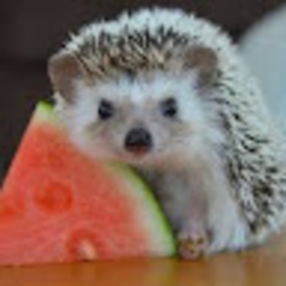 Profile Picture of Eli Bosen (@ebosen115) on Poshmark