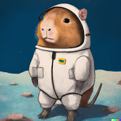 Profile Picture of Brian Gu (@briangu6022) on Youtube