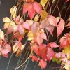 Profile Picture of RubyDeng (@rubydeng0) on Tiktok