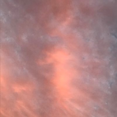 Profile Picture of Caroline Engelmann (@caro_engel_b) on Twitter