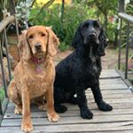 Profile Picture of Kimba & Oliver Keith (@olivernorbitandkimba) on Instagram